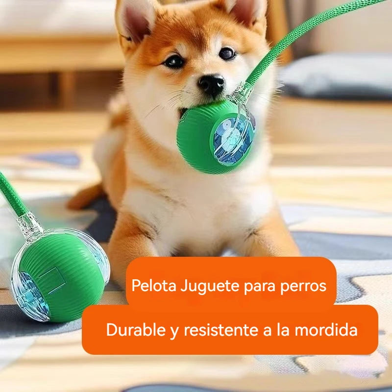 Pelota interactiva para perros, automática y recargable, juguete interactivo inteligente para cachorros.