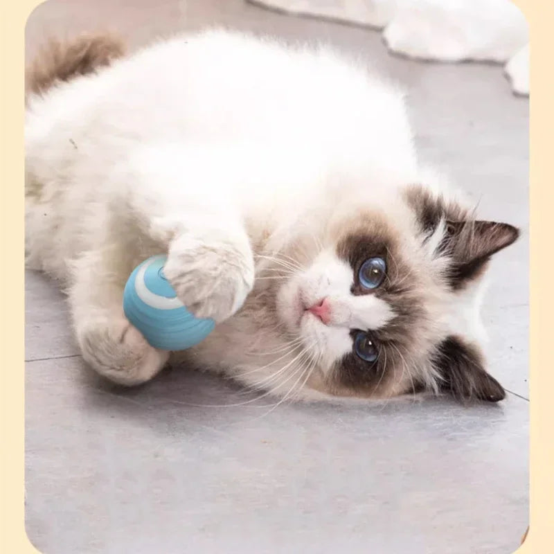 Pelota rodante inteligente para gatos, recargable, con movimiento automático, para jugar en interiores de forma interactiva.