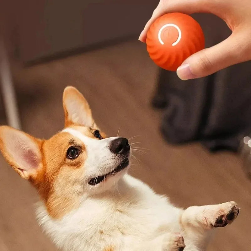 Pelota de juguete para perros automática, con movimiento, rebote y rodadura, USB, juguete interactivo inteligente para cachorros, pelota masticable para perros