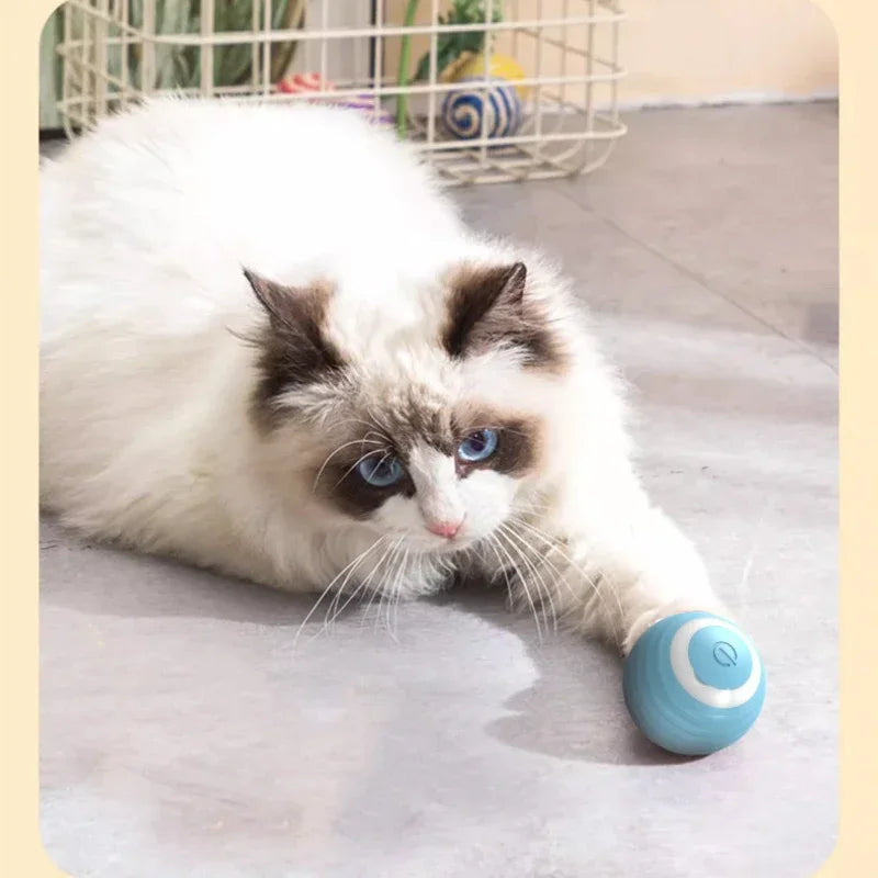 Pelota rodante inteligente para gatos, recargable, con movimiento automático, para jugar en interiores de forma interactiva.